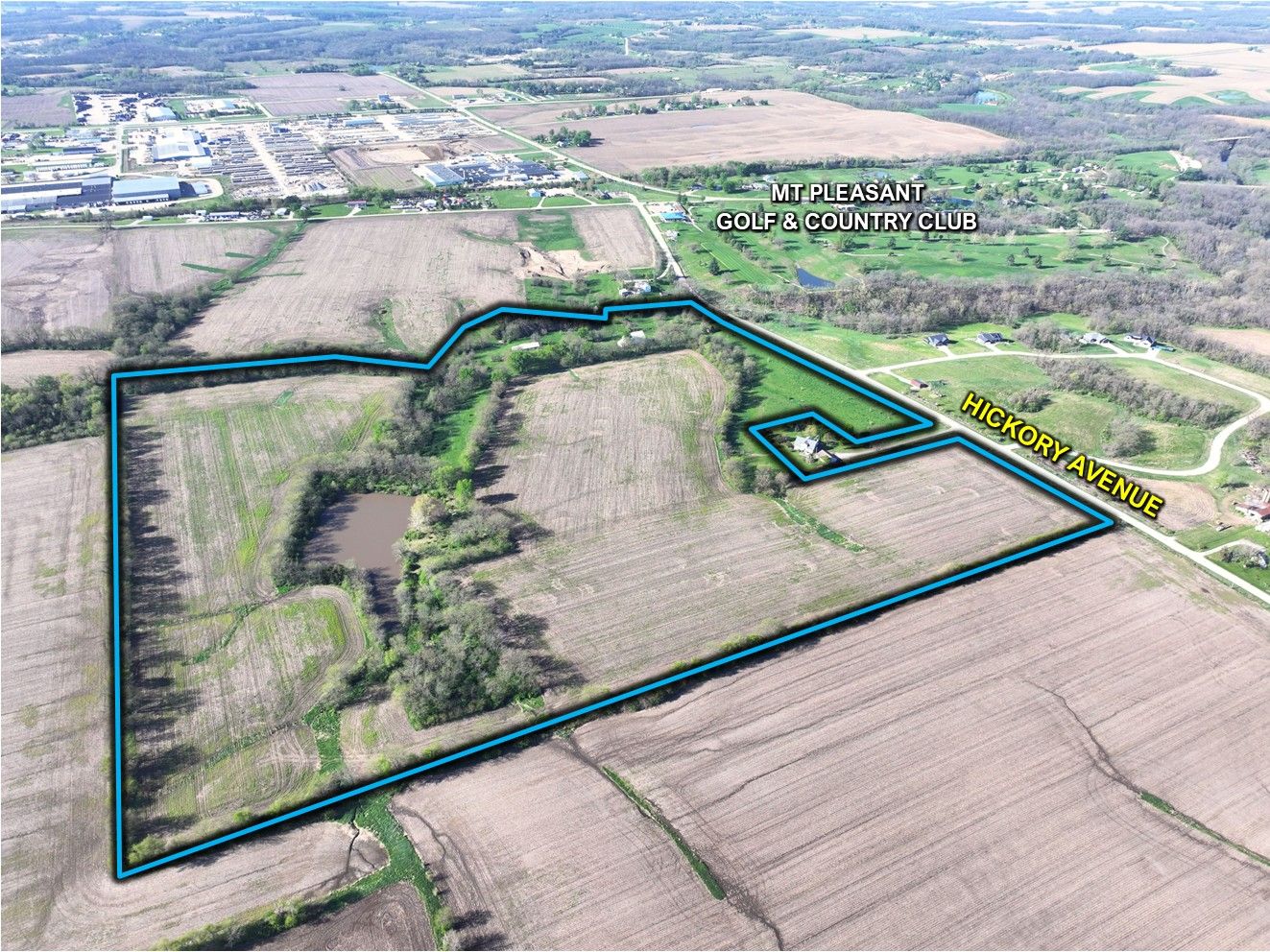 Listing Photo: Henry County, IA Farmland For Sale3